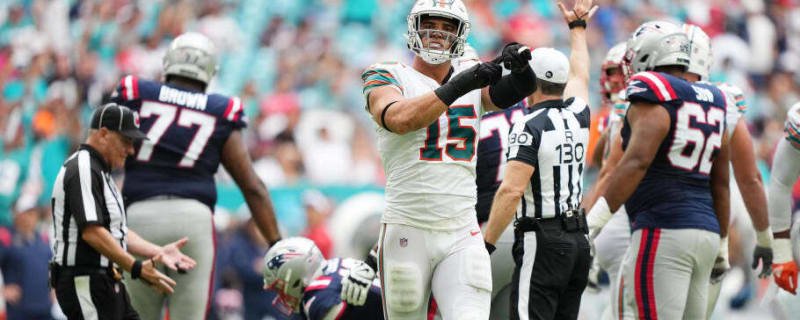 Number 15 and the Three Dolphins Who Wore It Best