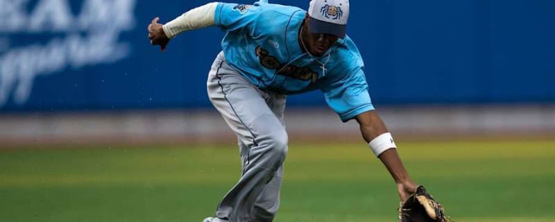 Tampa Bay Rays Prospect Chandler Simpson Makes Wild Catch in Spring Training