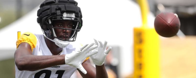 Bengals Cut Former Steelers WR