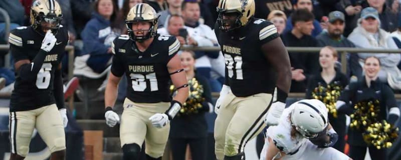 Purdue All-American Safety, Junior Tight End Enter NCAA Transfer Portal