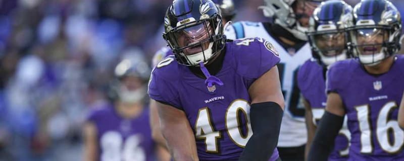 Steelers Sign Former Ravens LB