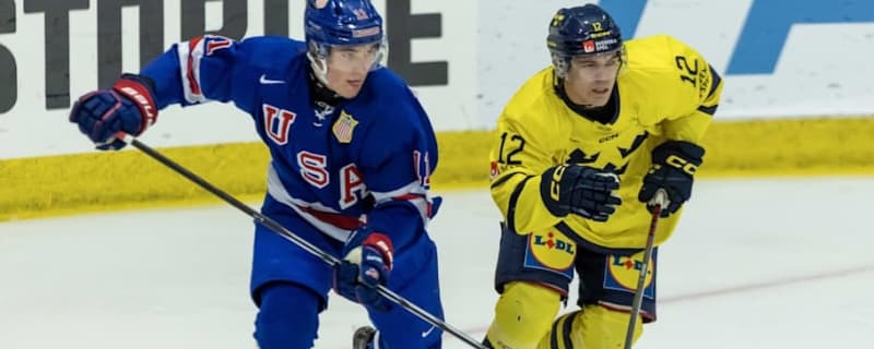 MSU Hockey Looking to Add Via Transfer Portal