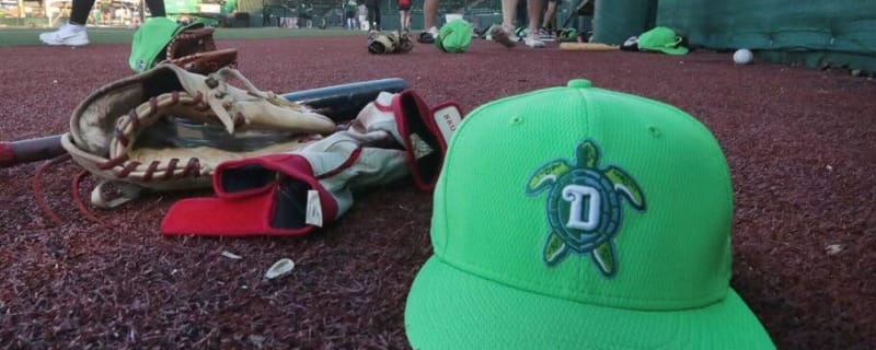 Cincinnati Reds Ninth-Ranked Prospect, Ricardo Cabrera, Has Huge Day at the Plate