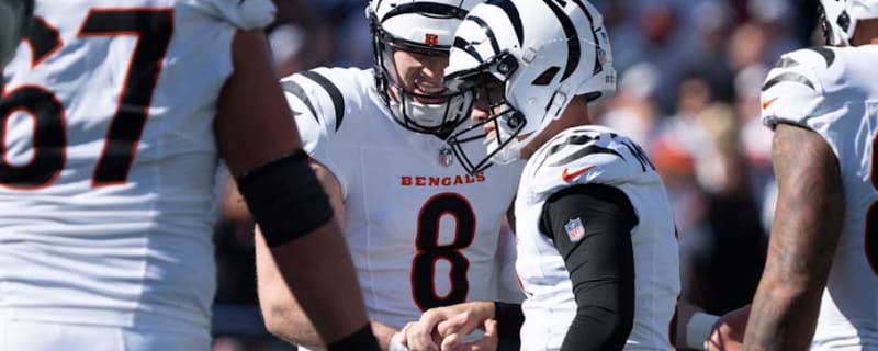 Bengals Punter Ryan Rehkow Makes PFWA All-Rookie Team