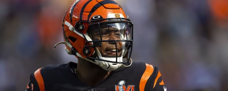 Titans Sign Former Bengals WR