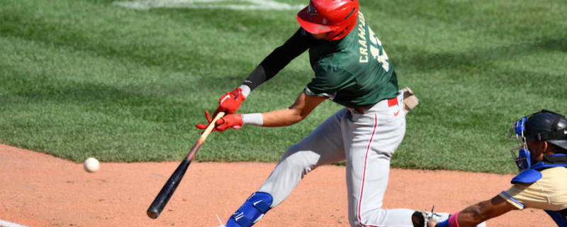 Former Major League Star’s Son Among Philadelphia Phillies Rising Stars