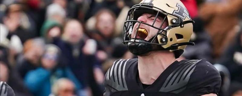 What skill set does Purdue transfer TE Drew Biber bring to Minnesota?
