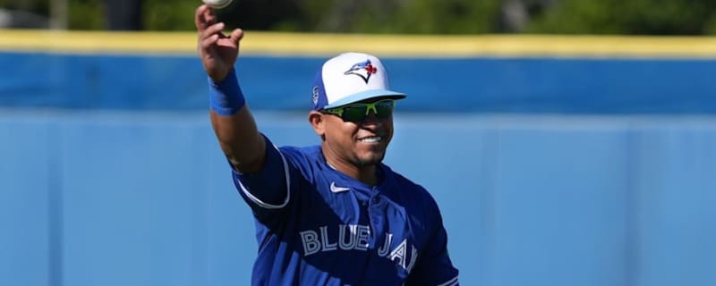 Toronto Blue Jays&#39; Orelvis Martinez Ranked Top 10 Second Base Prospect in MLB