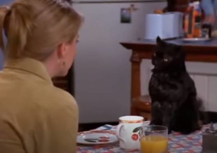 Salem Saberhagen ("Sabrina the Teenage Witch")