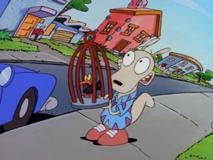 Rocko Rama, ‘Rocko's Modern Life’