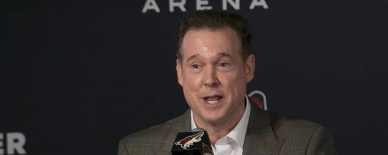 How Meruelo can bring hockey, and the Coyotes, back to Arizona