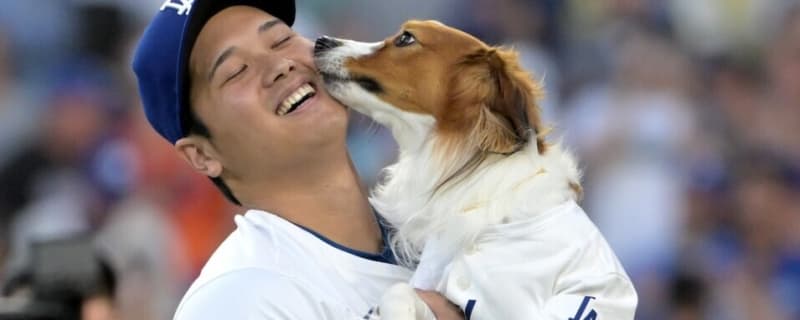  Decoy Wins ‘Most Valuable Dog’ Award