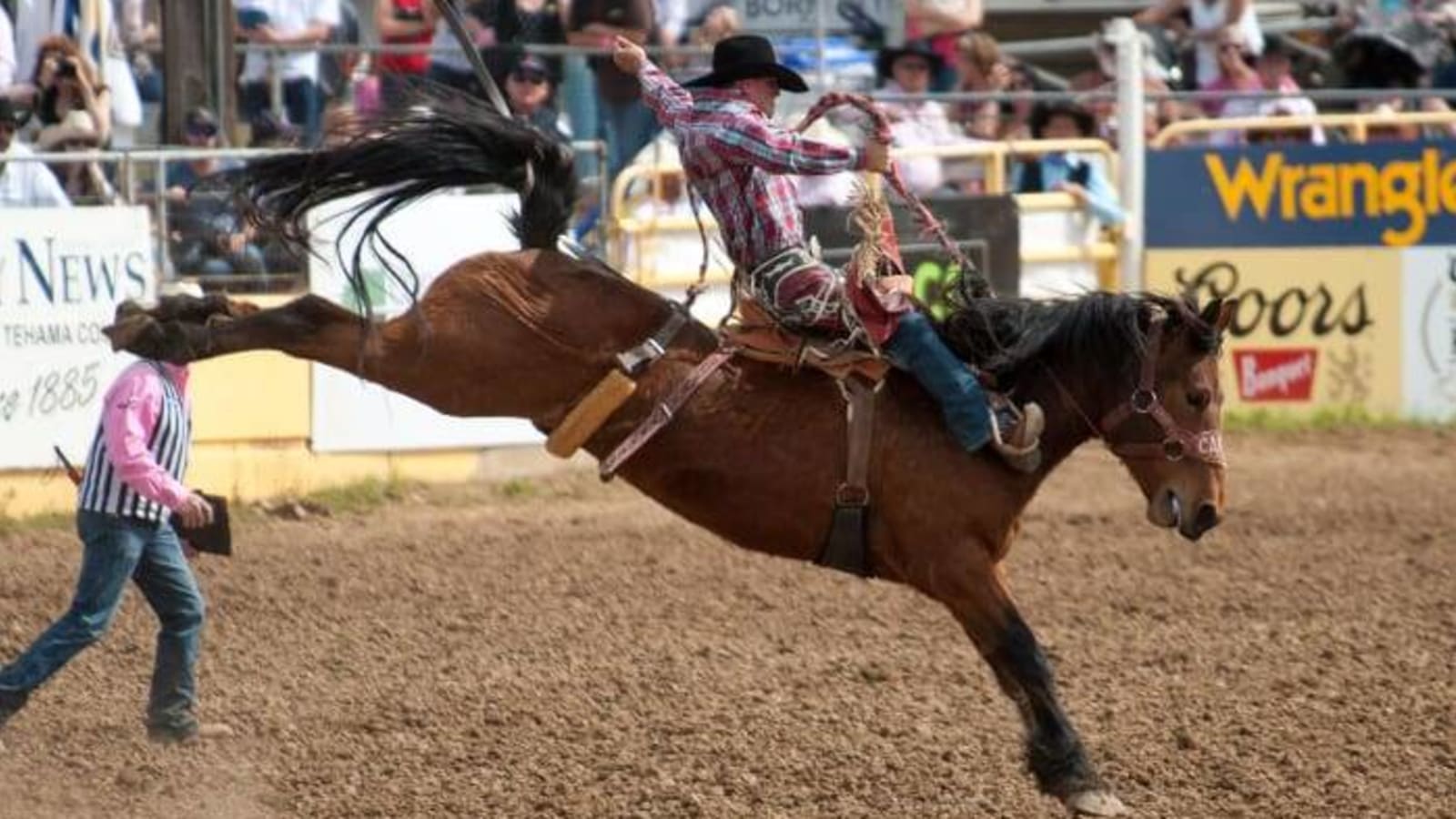 Pioneer Days Rodeo Awards Top Talents for Stellar Performances