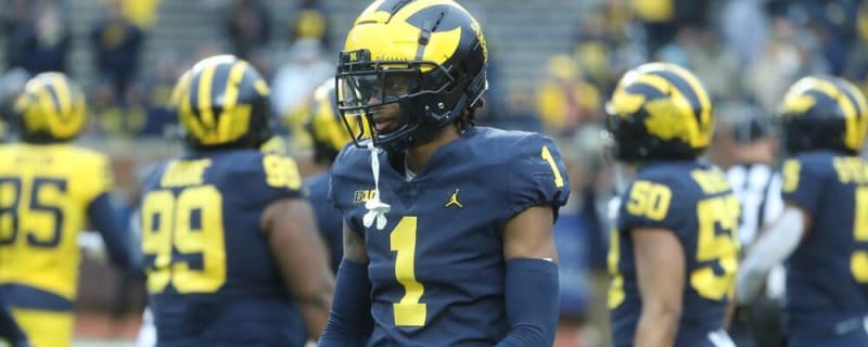 Michigan Wolverines Add 2 Wide Receivers Out of the Portal
