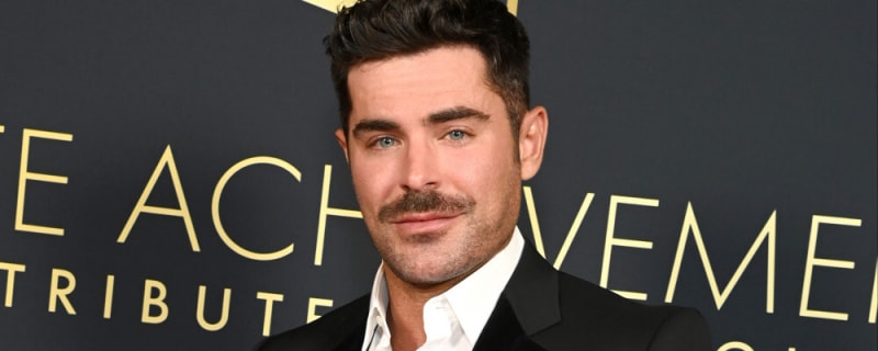 Zac Efron &#39;would be the perfect partner on Dancing with the Stars&#39;