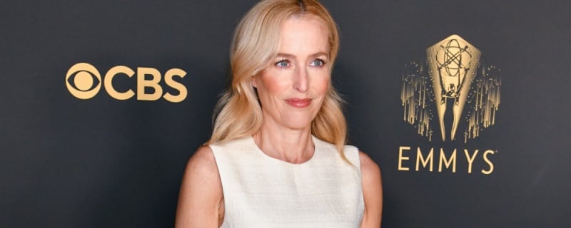 Gillian Anderson reveals UK homelessness fears