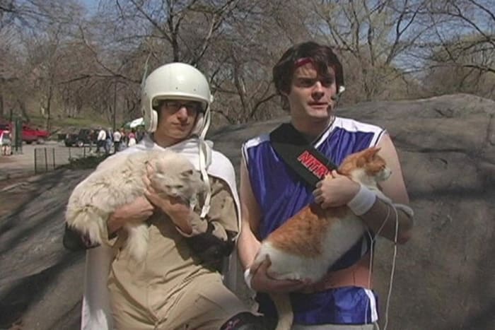 "Laser Cats!" series