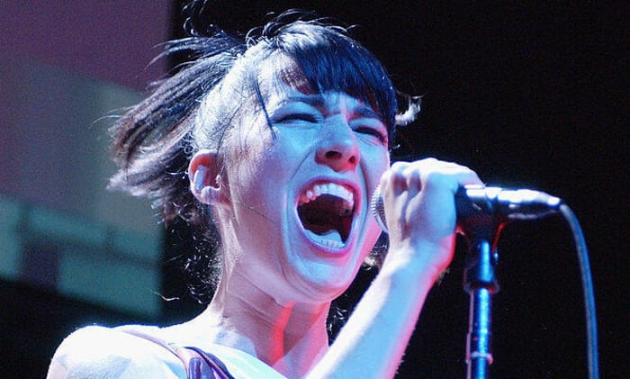 "My My Metrocard," Le Tigre