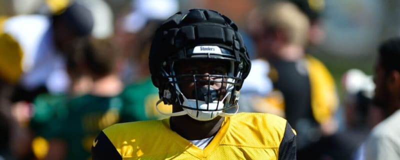Steelers Cut Former Falcons Defensive Tackle