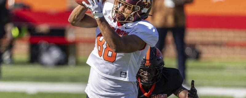 Brevyn Spann-Ford 2024 NFL Draft Profile