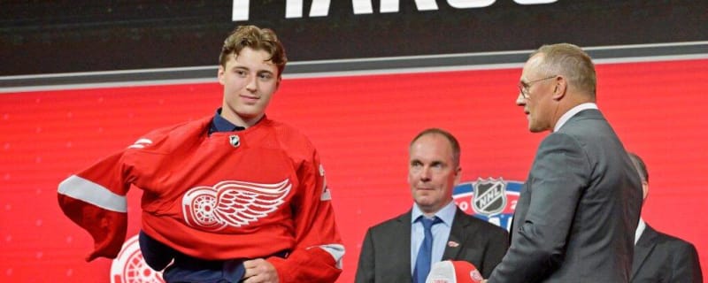 NHL Rumours: Detroit Red Wings Might Not Be Done
