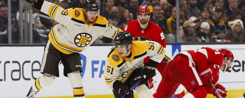 NHL Predictions: Detroit Red Wings vs Boston Bruins, March 21st