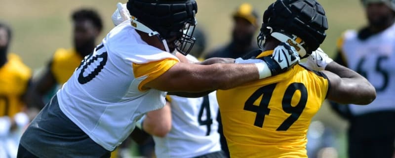 Steelers Bring Back Just-Waived Offensive Tackle