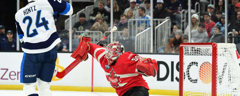 St. Louis Blues Potential Winter Olympic Representatives