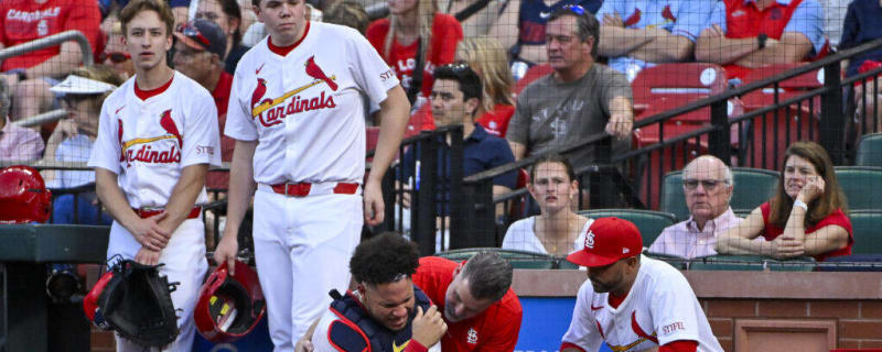 Cardinals To Be Without Most Consistent Hitter After Bat Breaks His Arm