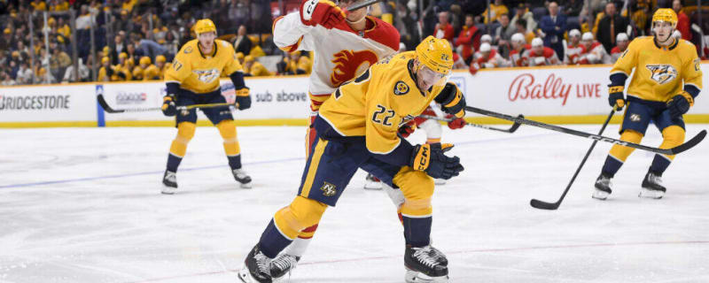 The Calgary Flames Add a Pair of Depth Defencemen