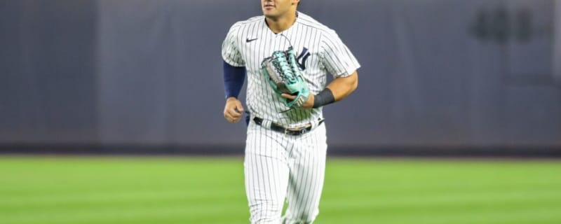 The Yankees Have a Jasson Domínguez Problem