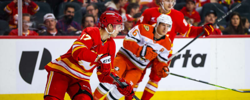 NHL Prediction: January 25th, Anaheim Ducks vs Calgary Flames