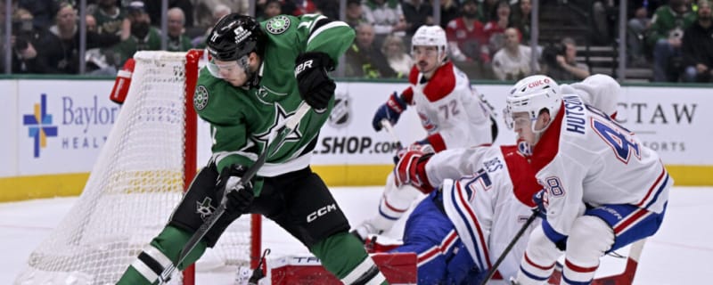 Montreal Canadiens Options in Net, Right Now