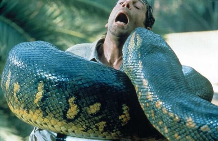 'Anaconda' (1997)
