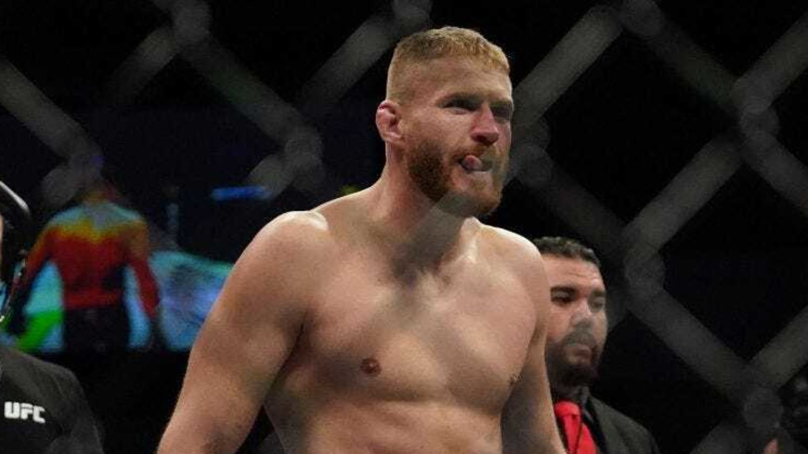Jan Blachowicz Career After His Iconic Israel Adesanya Win