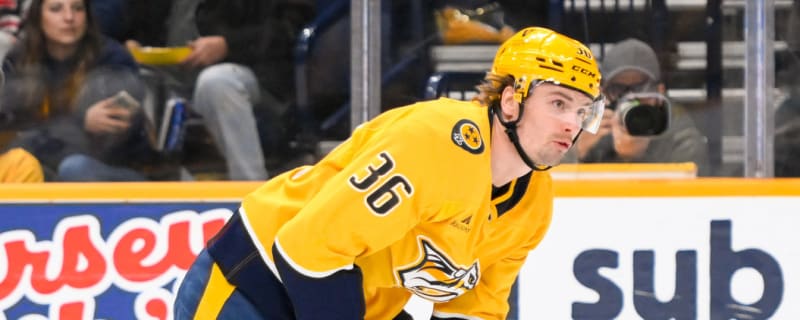 Predators center activated off IR after being sidelined a month