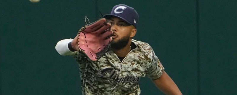 Guardians DFA former top prospect, two others