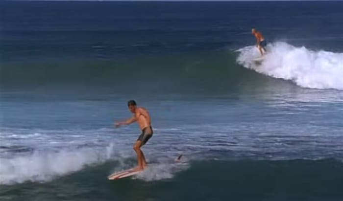 "The Endless Summer II" (1994)