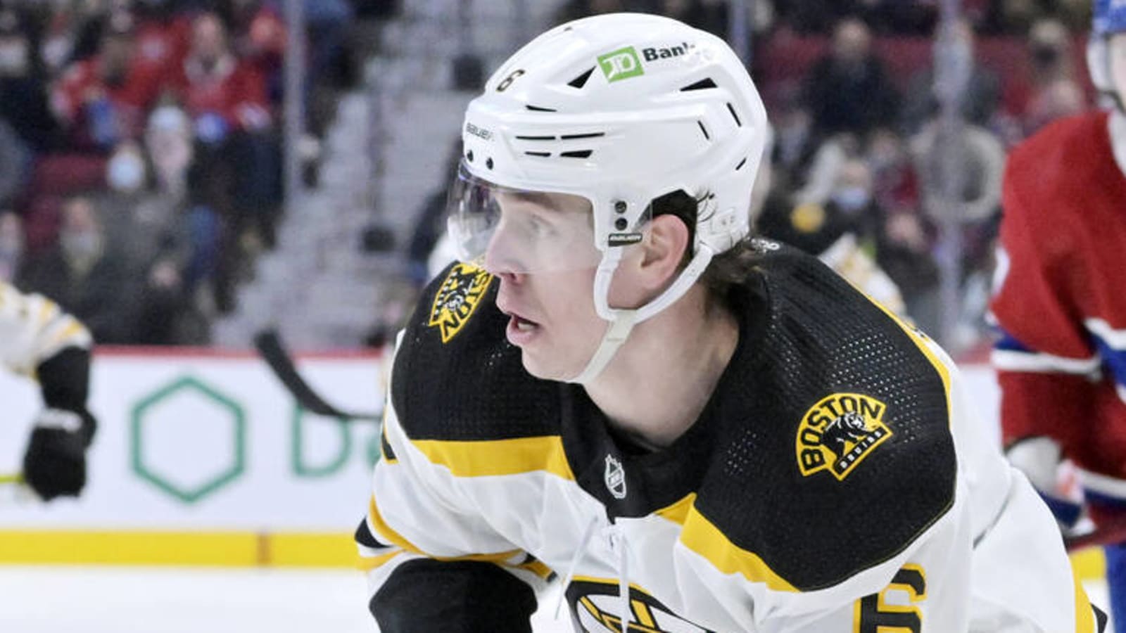 Bruins' Reilly, Senators' Zaitsev, Hellberg placed on waivers