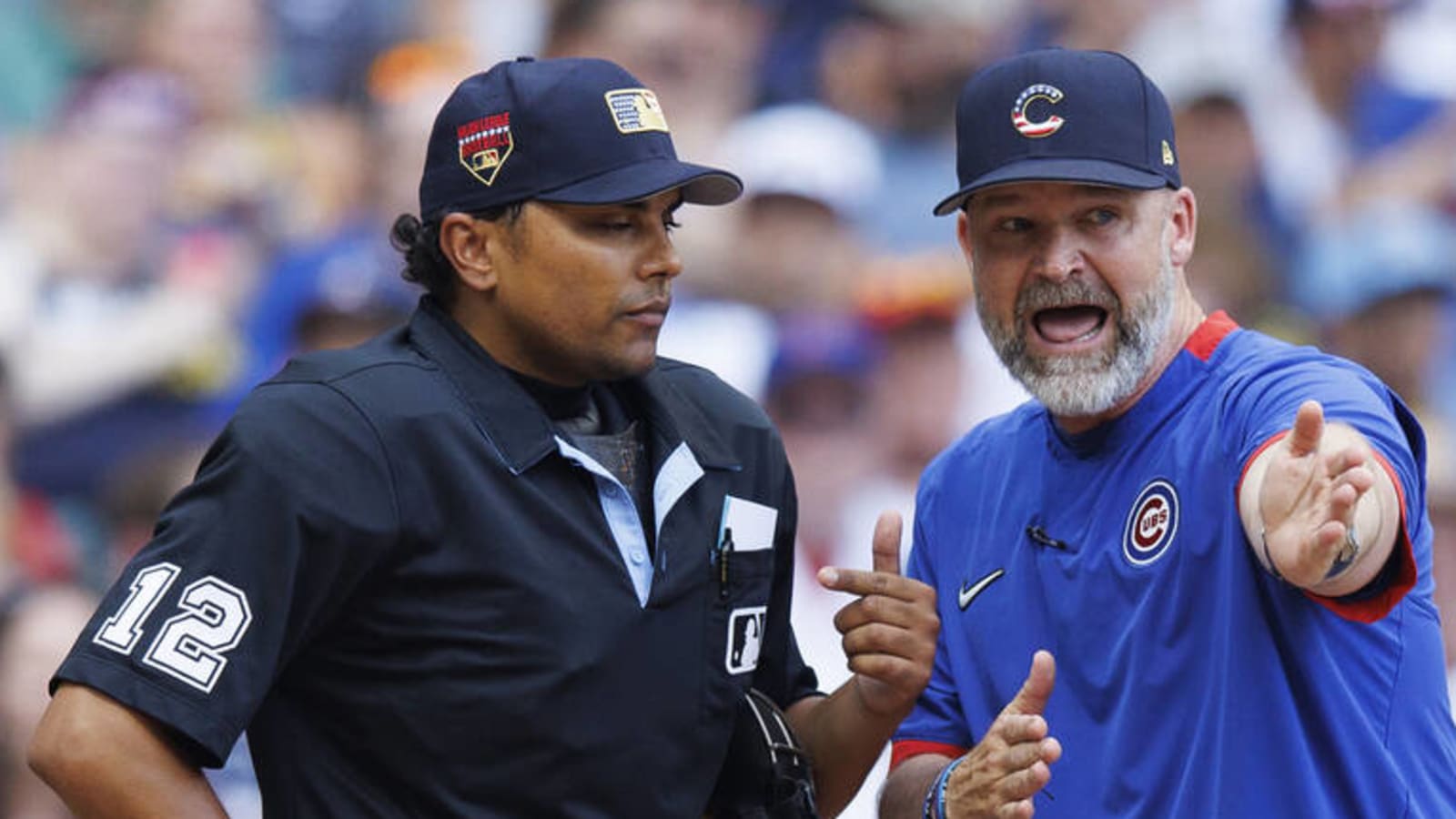 Cubs' Ross delivers great line after being ejected