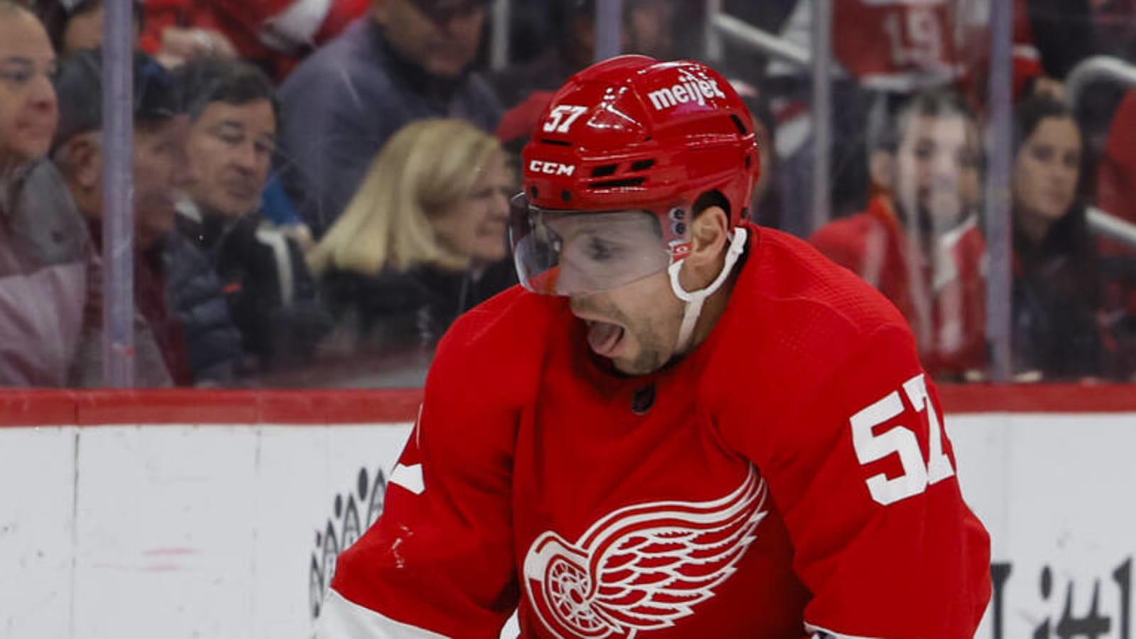 NHLPA files appeal on behalf of suspended Red Wings forward