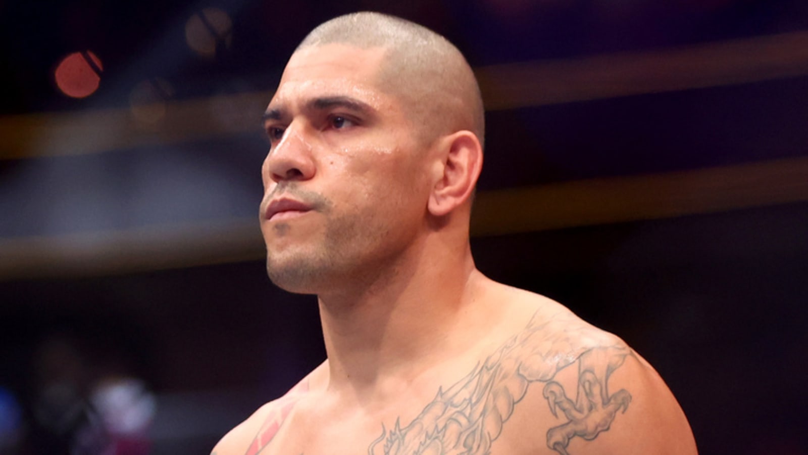 Dana White Says No To Alex Pereira Boxing