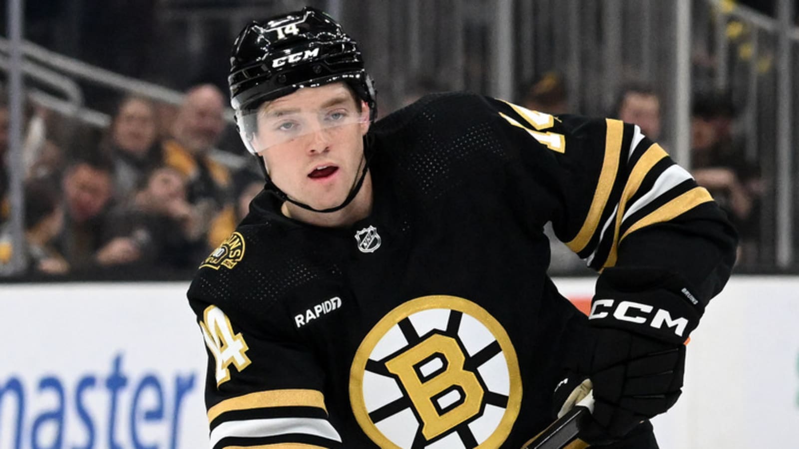 Boston Bruins Sign Depth Defenseman