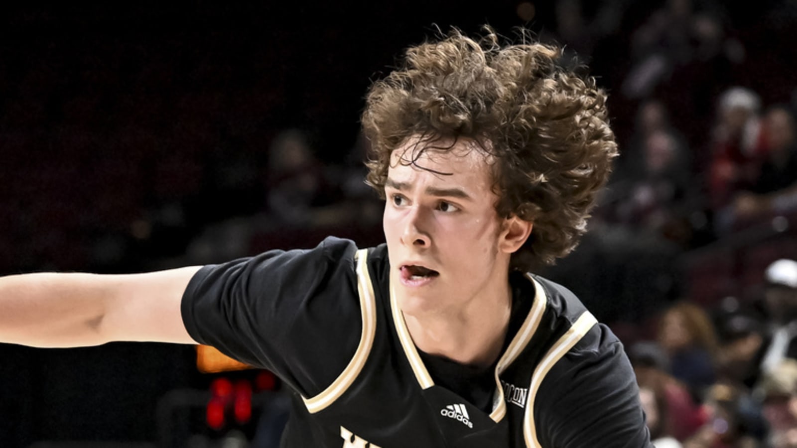 Wofford becomes the first Cinderella of this year's March Madness