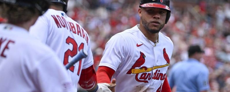 Andrew Knizner Should Be the Cardinals' Backup Catcher - Viva El