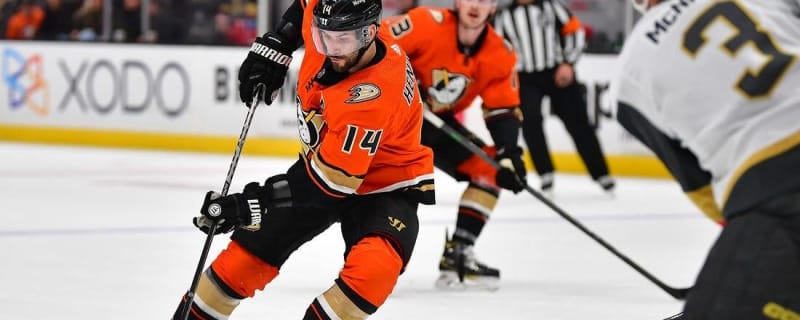 Troy Terry is flying with the Ducks; is he for real? - The Daily