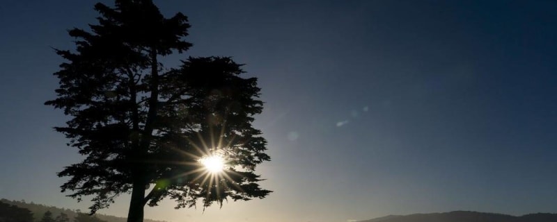 U.S. Women&#39;s Open at Pebble Beach casts light on history, progress