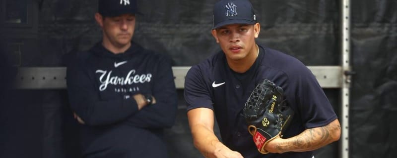 Yankees activate relief pitcher Jonathan Loaisiga from IL