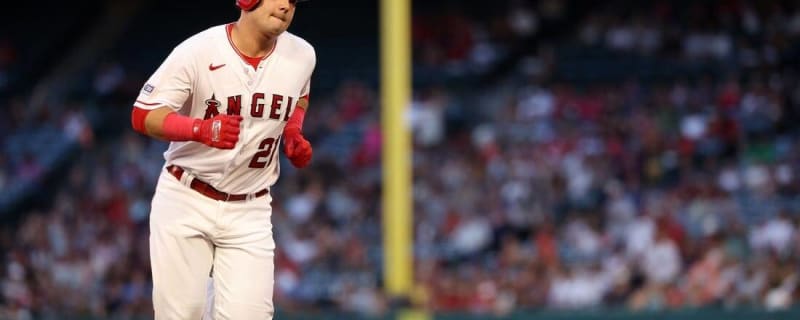 PETA Calls On Angels To Retire Long Standing Rally Monkey Tradition