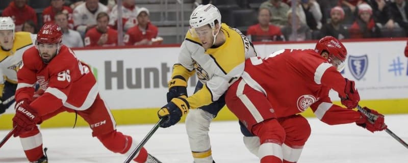 Red Wings plan similar workload for Ville Husso with better management 